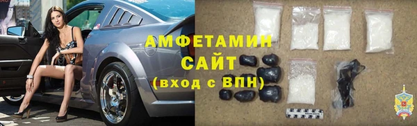 шишки Кадников