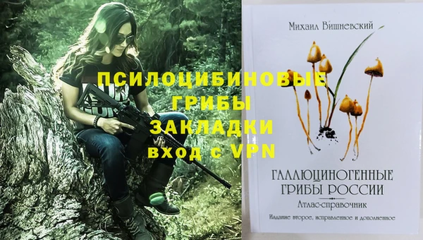 прущий лед Аркадак